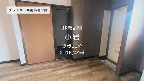 動画