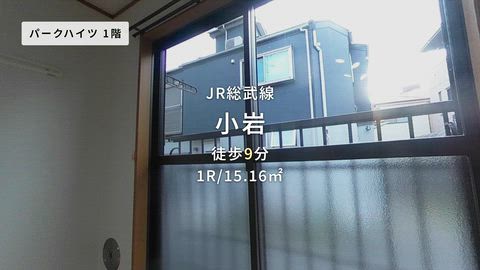 動画