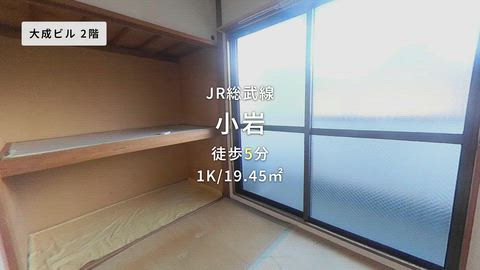動画