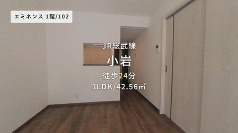 動画