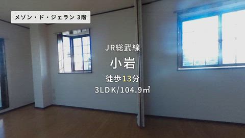 動画