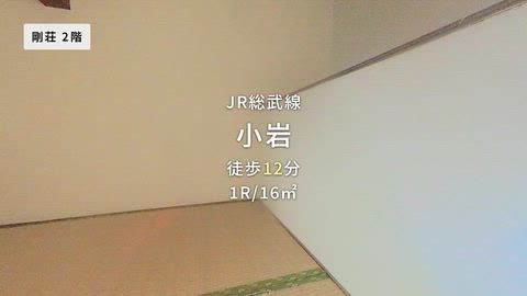 動画