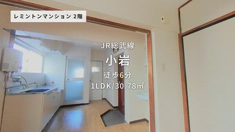 動画