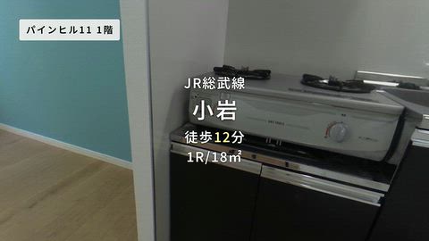 動画
