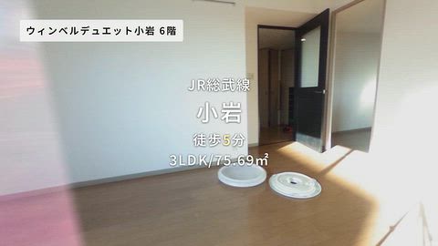 動画