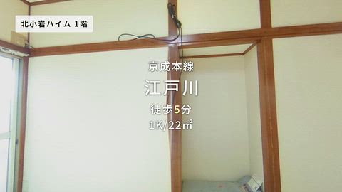 動画