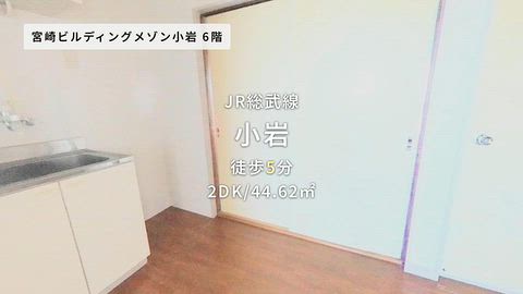 動画