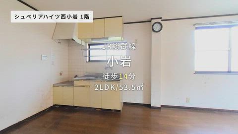 動画