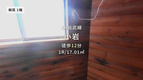 動画
