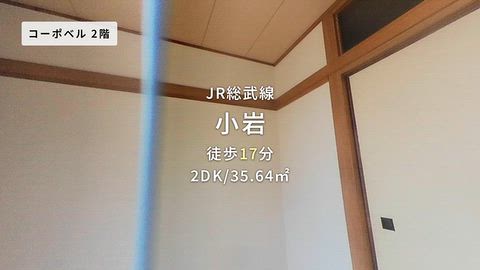 動画