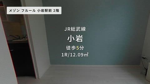 動画