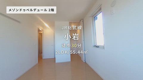 動画