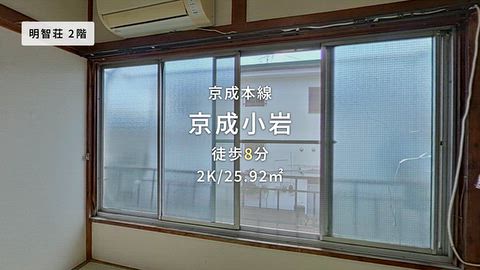 動画