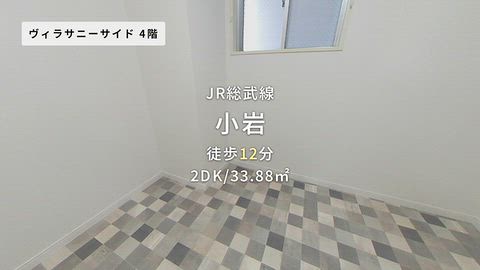動画
