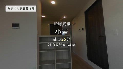 動画