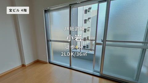 動画