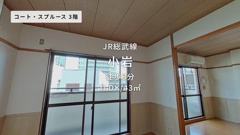 動画