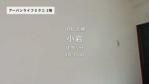 動画