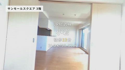 動画