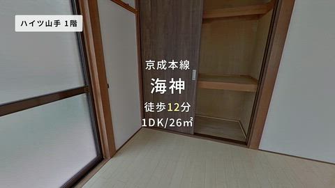 動画