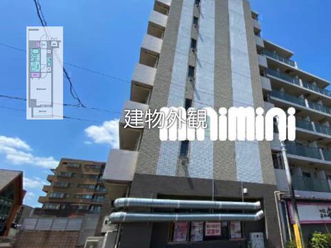 動画