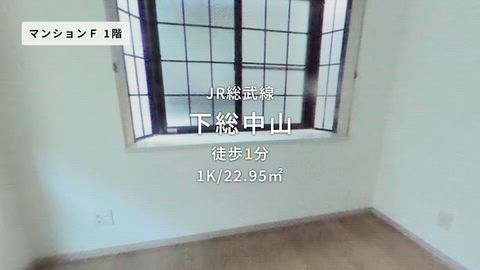 動画