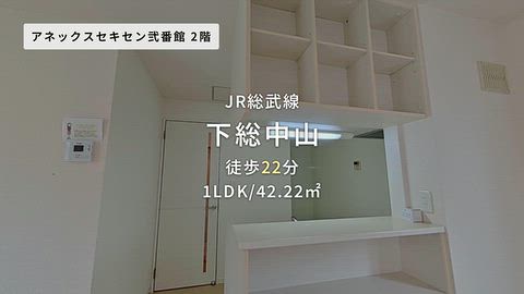 動画