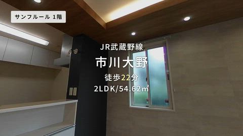 動画