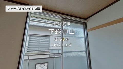 動画