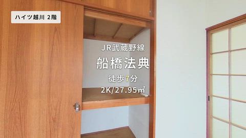 動画