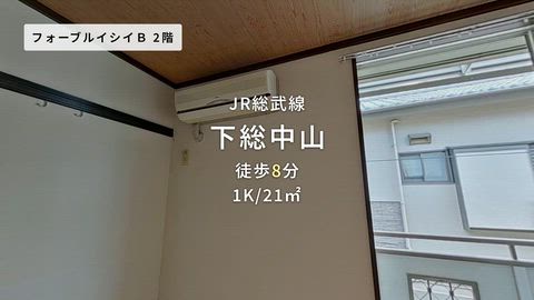 動画