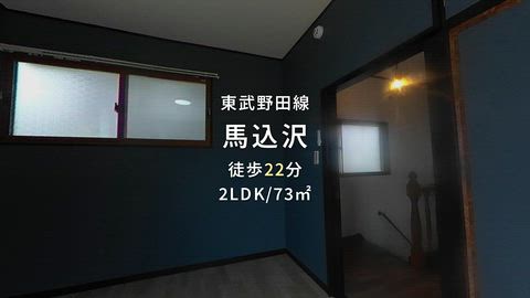 動画
