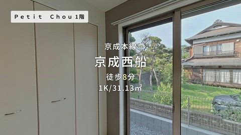 動画