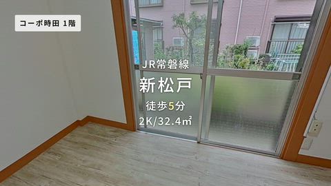 動画