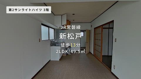 動画