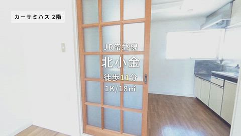 動画