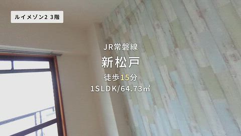 動画