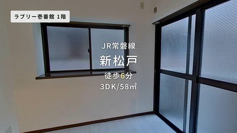 動画