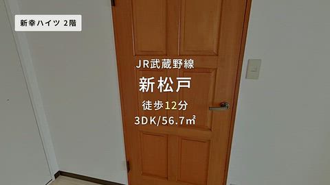 動画