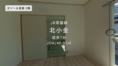 動画
