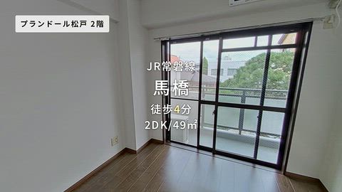 動画