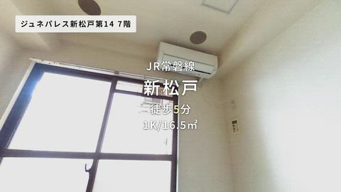 紹介ムービー
