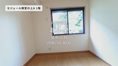 動画