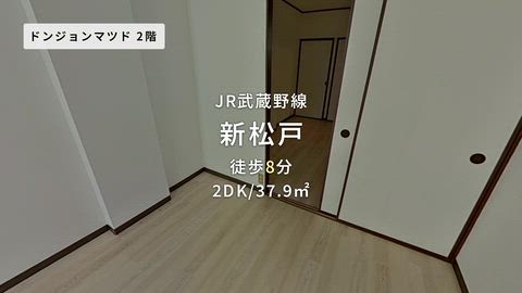 動画