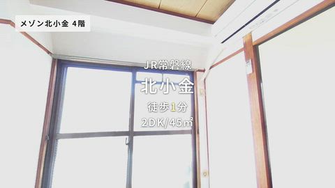 紹介ムービー