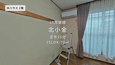 動画