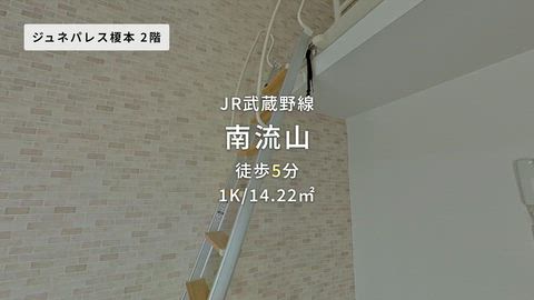 動画