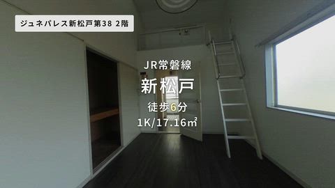 動画