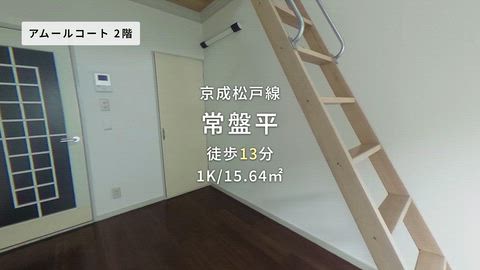 動画