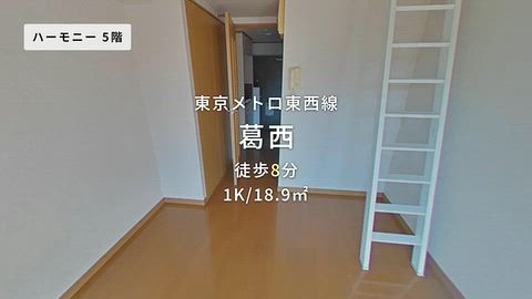 動画